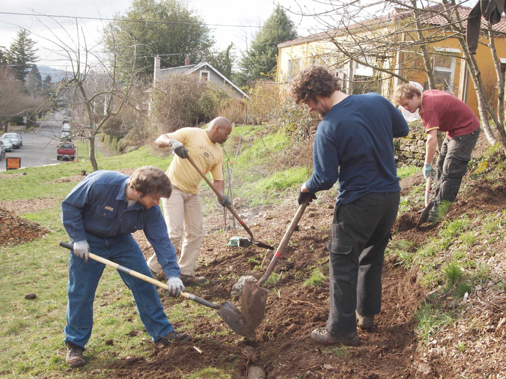 Voluntarios plantando en Sabin Community Orchard, Portland, Oregon.