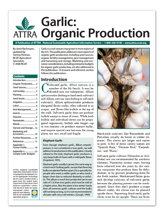 Garlic: Organic Production covert art