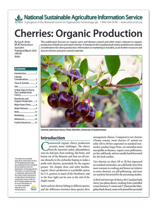 IP463 - Cherries Organic Production Cover Art
