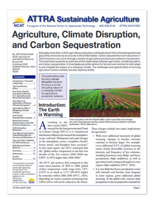 IP338 Carbon Sequestration Cover Image