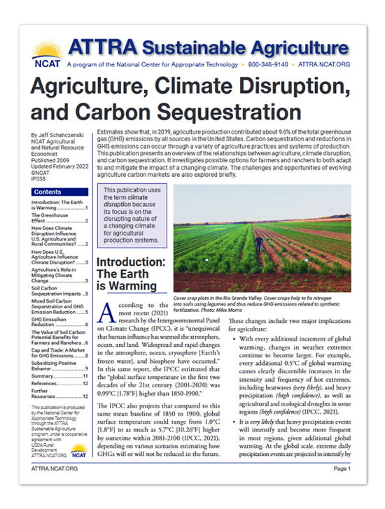 IP338 Carbon Sequestration Cover Image