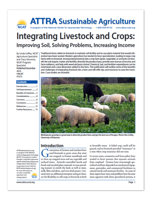 IP475 integrating livestock cover art