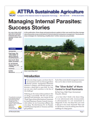 Parasite Success Stories Cover Art