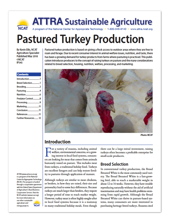 IP545 Pastured Turkey Production