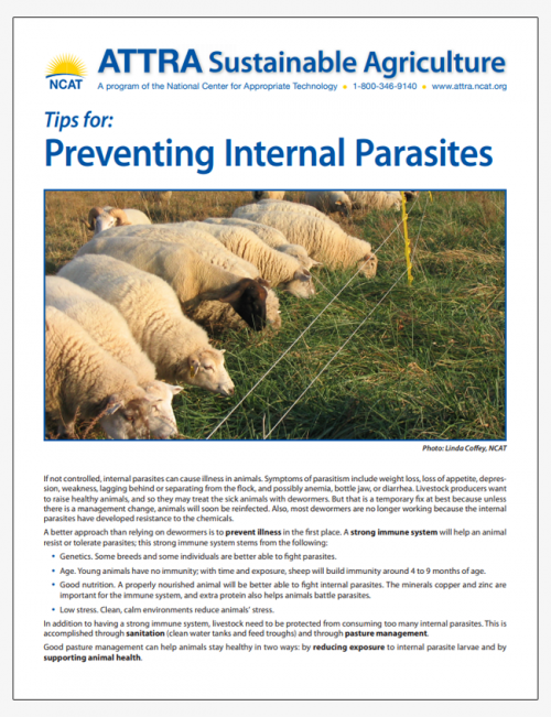 Tips for: Preventing Internal Parasites