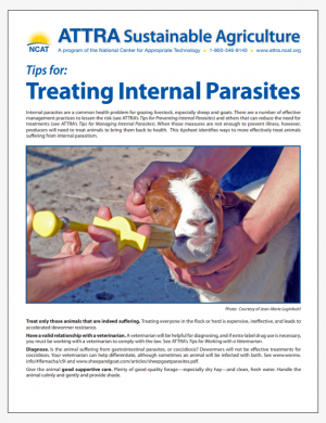 Tips for: Treating Internal Parasites