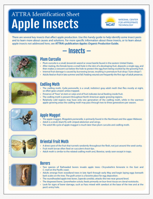 Apple Insect Pests Identification Sheet