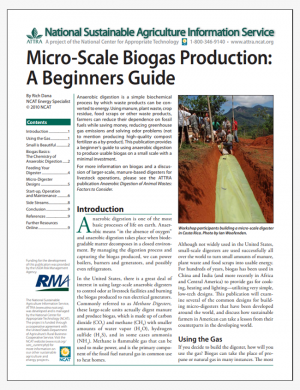Micro-Scale Biogas Production: A Beginners Guide