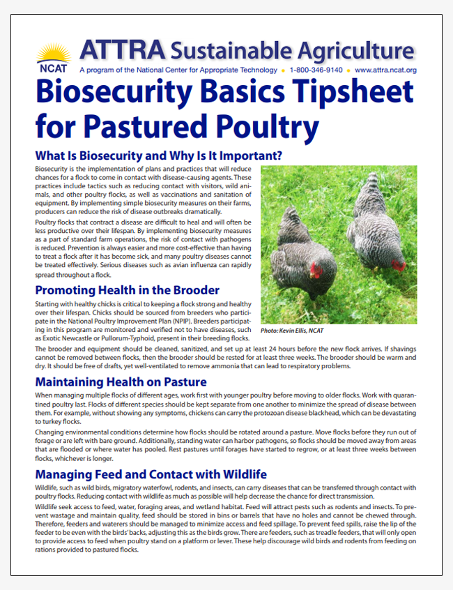 Biosecurity Basics Tipsheet for Pastured Poultry