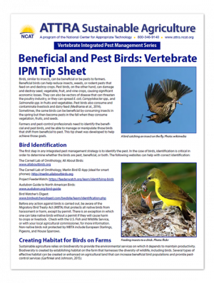Pest and Beneficial Birds Tipsheet