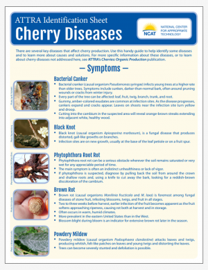 Cherry Diseases Identification Sheet