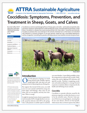 Coccidiosis: Symptoms, Prevention, and Treatment in Sheep, Goats, and Calves