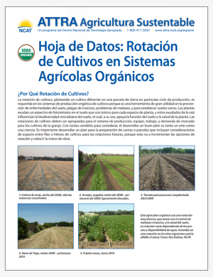 Hoja de Datos: Rotacion de Cultivos en Sistemas Agricolas Organicos