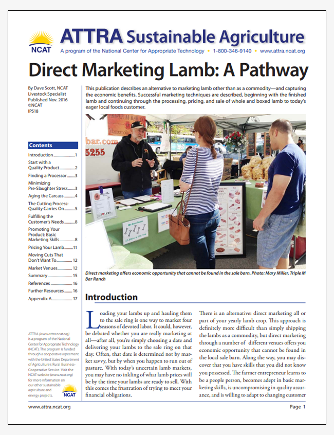 Direct Marketing Lamb: A Pathway
