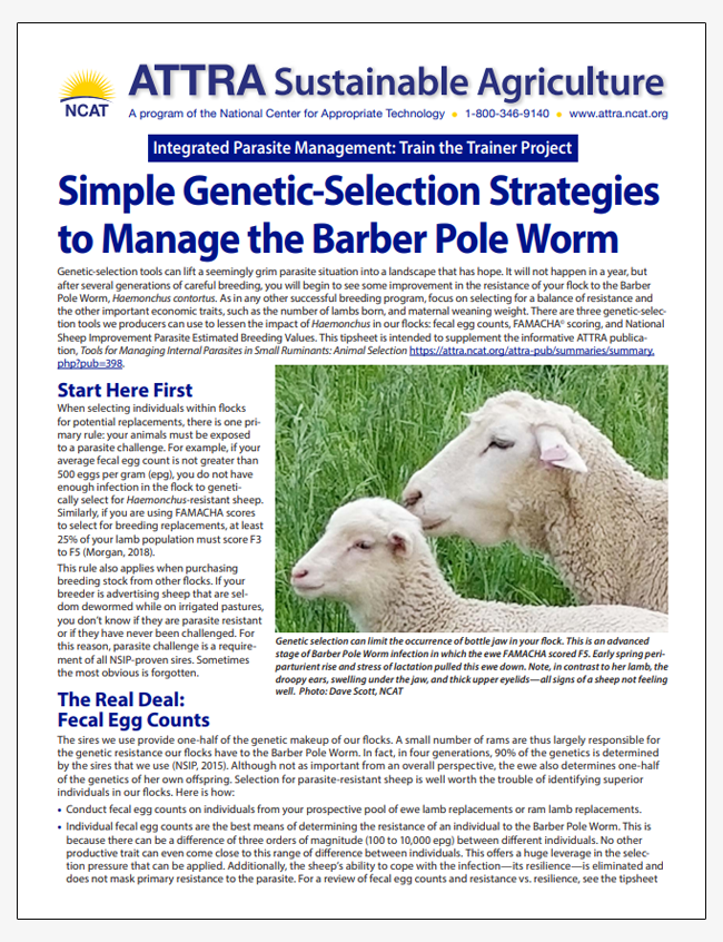 Simple Genetic-Selection Strategies to Manage the Barber Pole Worm