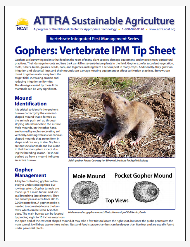 Gophers: Vertebrate IPM Tip Sheet