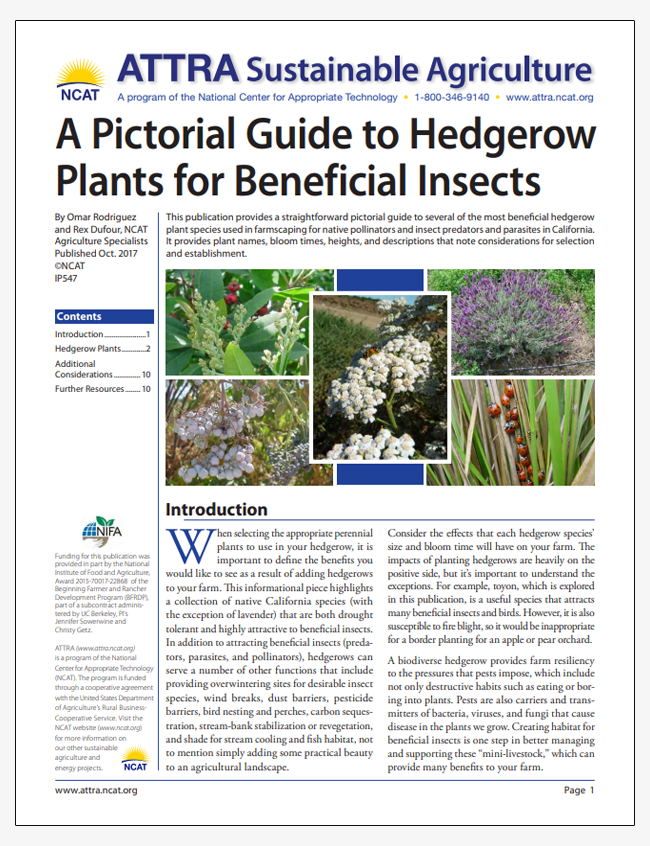 A Pictorial Guide to Hedgerow Plants for Beneficial Insects
