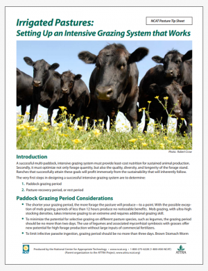 Irrigated Pastures: Setting Up an Intensive Grazing System That Works