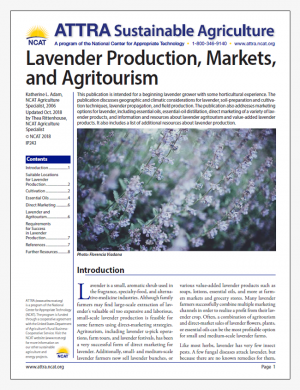 Lavender Production, Markets, and Agritourism