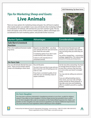 Tips for Marketing Sheep and Goat Products: Live Animals
