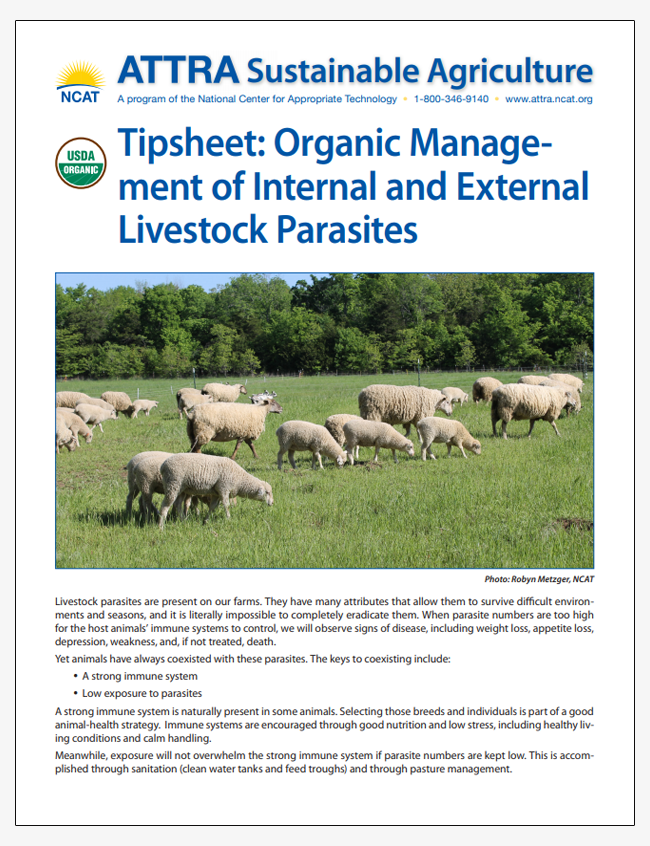 Tipsheet: Organic Management of Internal and External Livestock Parasites