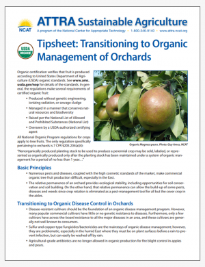 Tipsheet: Transitioning to Organic Management of Orchards