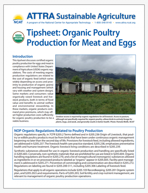 Tipsheet: Organic Poultry Production for Meat and Eggs