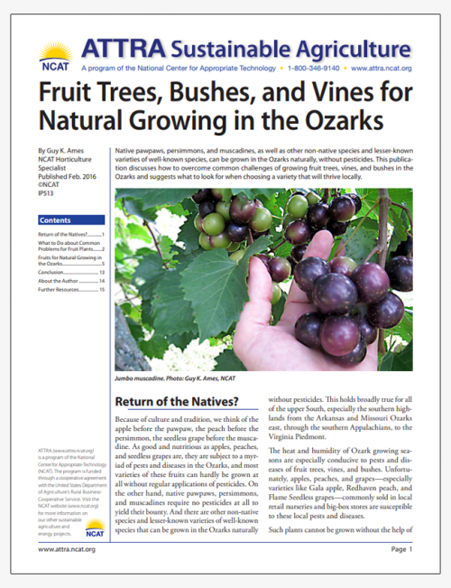 Fruit Trees, Bushes, and Vines for Natural Growing in the Ozarks