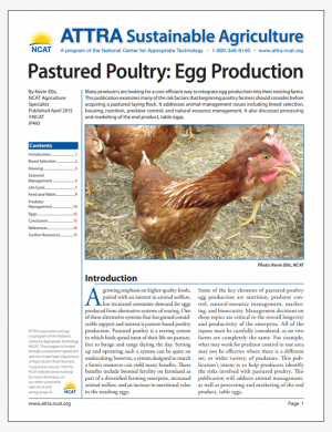 Pastured Poultry: Egg Production