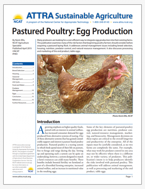 Pastured Poultry: Egg Production | ATTRA | Sustainable Agriculture Project