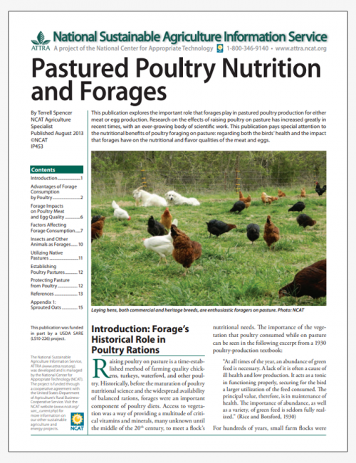 Pastured Poultry Nutrition and Forages