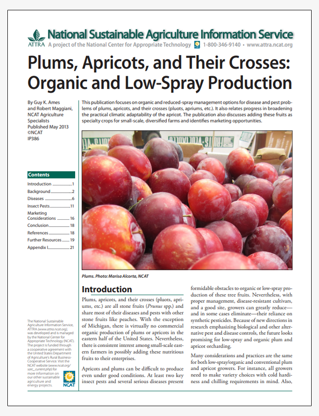 Plums, Apricots, and Their Crosses: Organic and Low-Spray Production