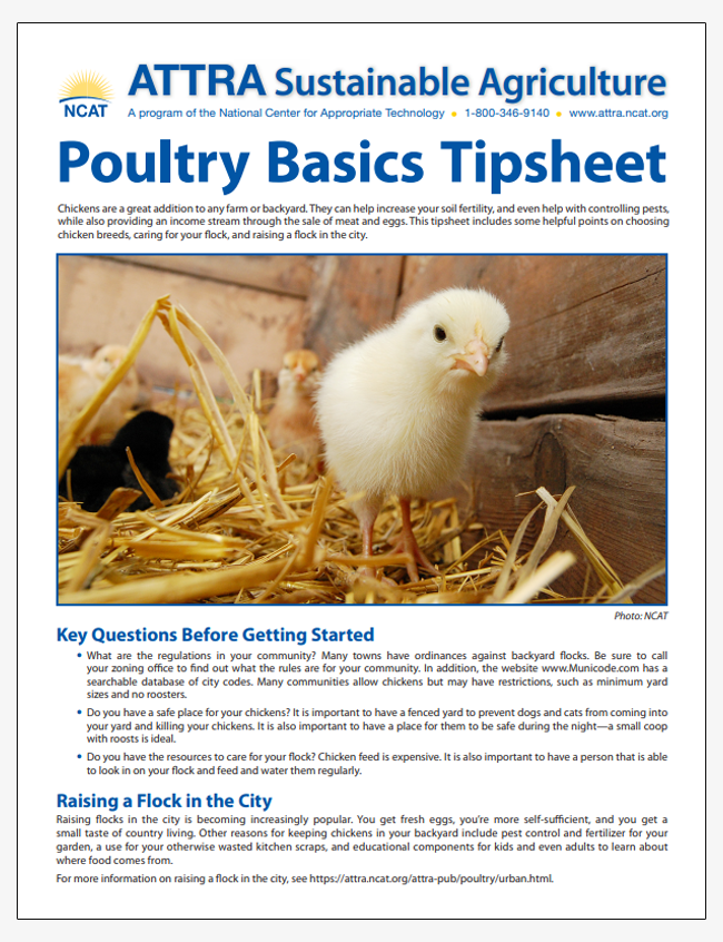 Poultry Basics Tipsheet