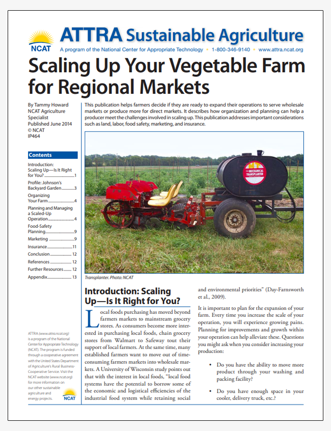 Scaling Up Your Vegetable Farm for Regional Markets