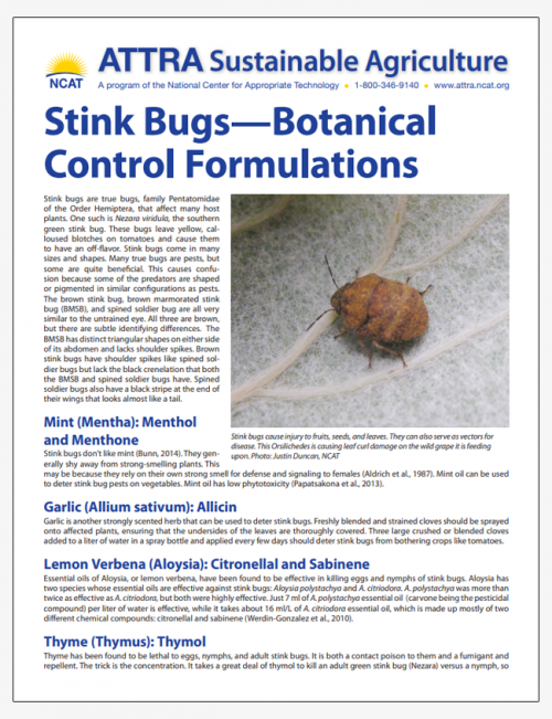 Stink Bugs - Botanical Control Formulations