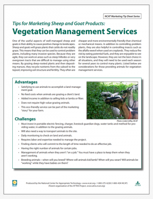 Tips for Marketing Sheep and Goat Products: Vegetation Management Services