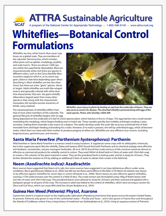 Whiteflies - Botanical Control Formulations