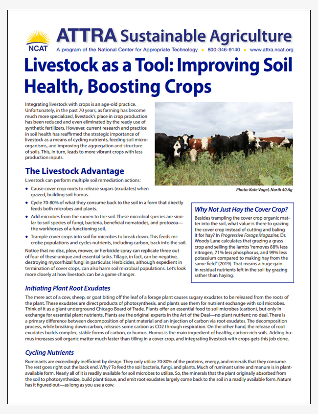 Livestock as a Tool: Improving Soil Health, Boosting Crops