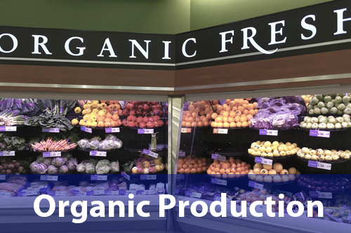 organic-production
