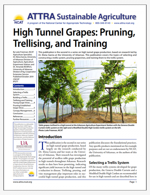 High Tunnel Grapes: Pruning, Trellising, and Training