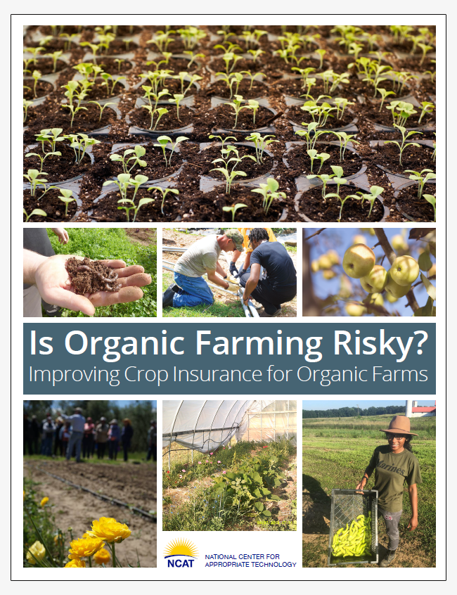 Is Organic Farming Risky? Improving Crop Insurance for Organic Farms