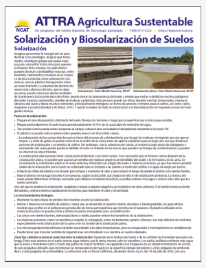 Solarización y Biosolarización de Suelos