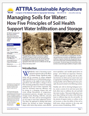 Managing Soils for Water: How Five Principles of Soil Health Support Water Infiltration and Storage