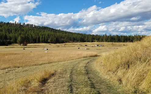 montana landscape