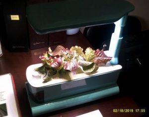 desktop aerogarden