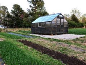 greenhouse