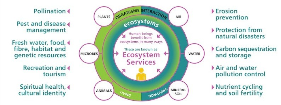 payments-for-ecosystem-services-attra-sustainable-agriculture