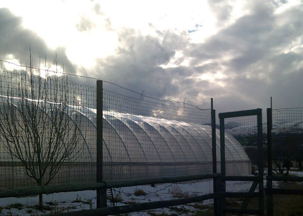 looking east hoophouse