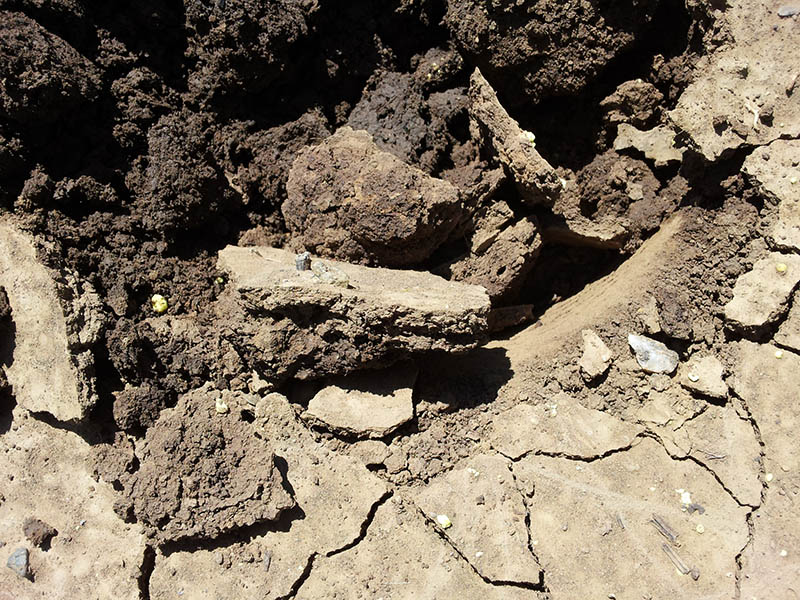 Picture of soil
