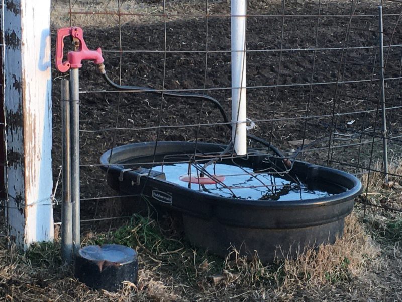 Water trough and frost-free hydrant